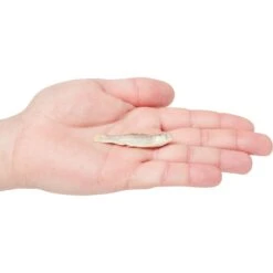 Vital Essentials Minnows Freeze-Dried Raw Cat Treats -PurePet Bites Shop 793534 PT2. AC SS1800 V1680122877