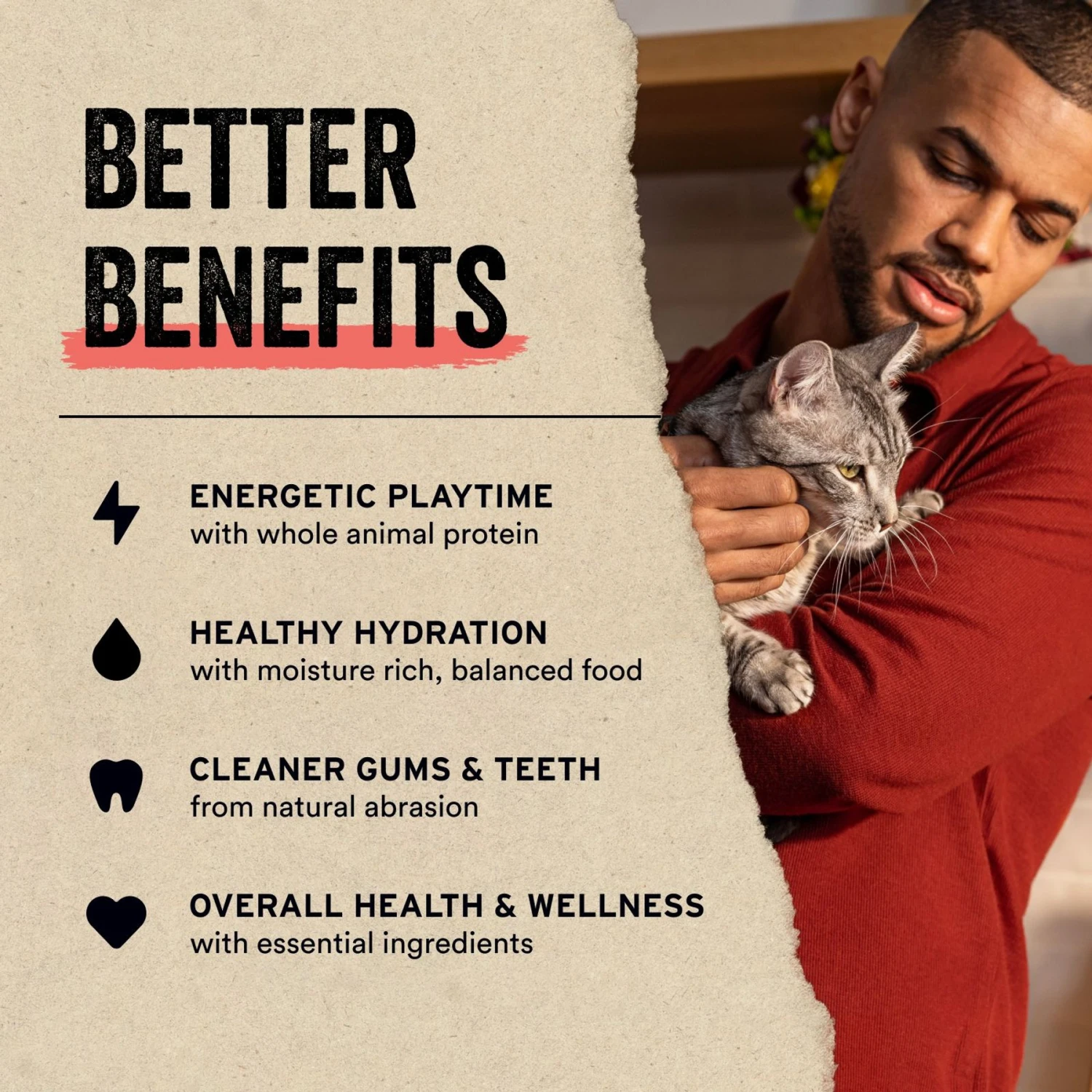 Vital Essentials Rabbit Bites Freeze-Dried Raw Cat Treats 7 Vital Essentials Rabbit Bites Freeze-Dried Raw Cat Treats - Image 5