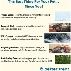 A Better Treat Freeze-Dried Salmon Dog & Cat Treat, 3-oz Bag 11 A Better Treat Freeze-Dried Salmon Dog & Cat Treat, 3-oz Bag -PurePet Bites Shop 793838 PT2. AC SS1800 V1677694092