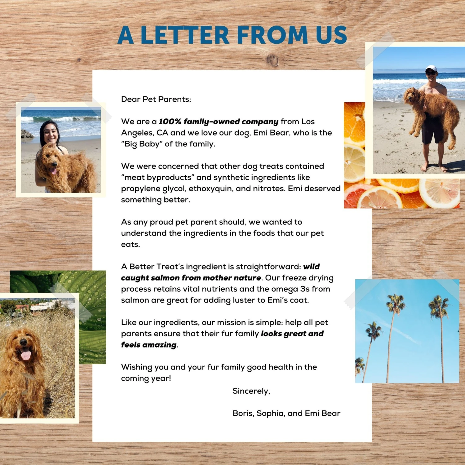 A Better Treat Freeze-Dried Salmon Dog & Cat Treat, 3-oz Bag 8 A Better Treat Freeze-Dried Salmon Dog & Cat Treat, 3-oz Bag - Image 6