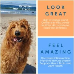 A Better Treat Freeze-Dried Beef Dog & Cat Treat, 3-oz Bag -PurePet Bites Shop 793854 PT1. AC SS1800 V1677693643