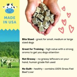 A Better Treat Freeze-Dried Beef Dog & Cat Treat, 3-oz Bag -PurePet Bites Shop 793854 PT3. AC SS1800 V1677693583