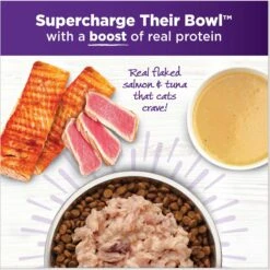 Wellness Bowl Boosters Flaked Salmon & Tuna Wet Cat Topper -PurePet Bites Shop 794814 PT3. AC SS1800 V1679069409