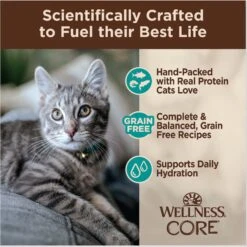 Wellness CORE Signature Select Flaked Sea Variety Pack Wet Cat -PurePet Bites Shop 794838 PT3. AC SS1800 V1679069096