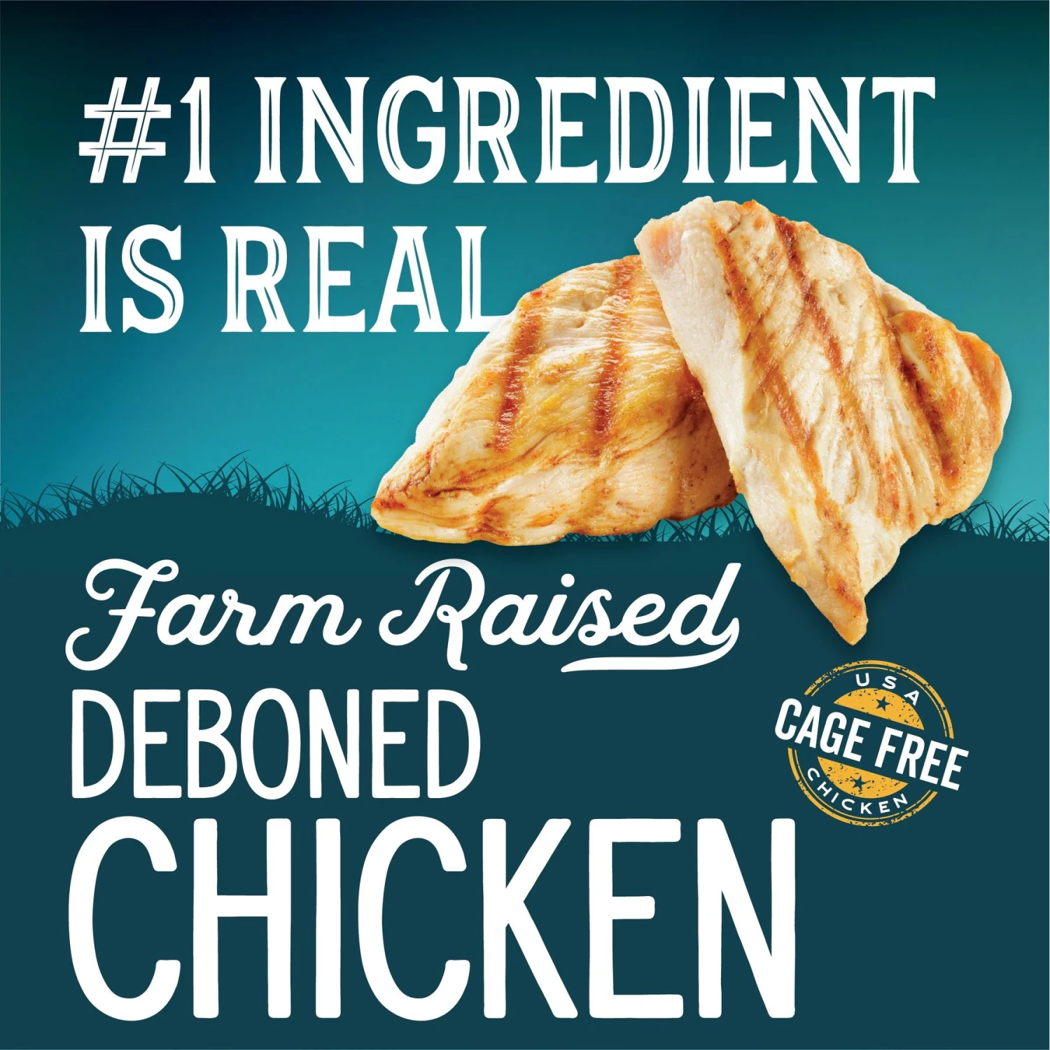 Triumph Wild Spirit Deboned Chicken & Brown Rice Recipe Dry Cat Food 5 Triumph Wild Spirit Deboned Chicken & Brown Rice Recipe Dry Cat Food - Image 3