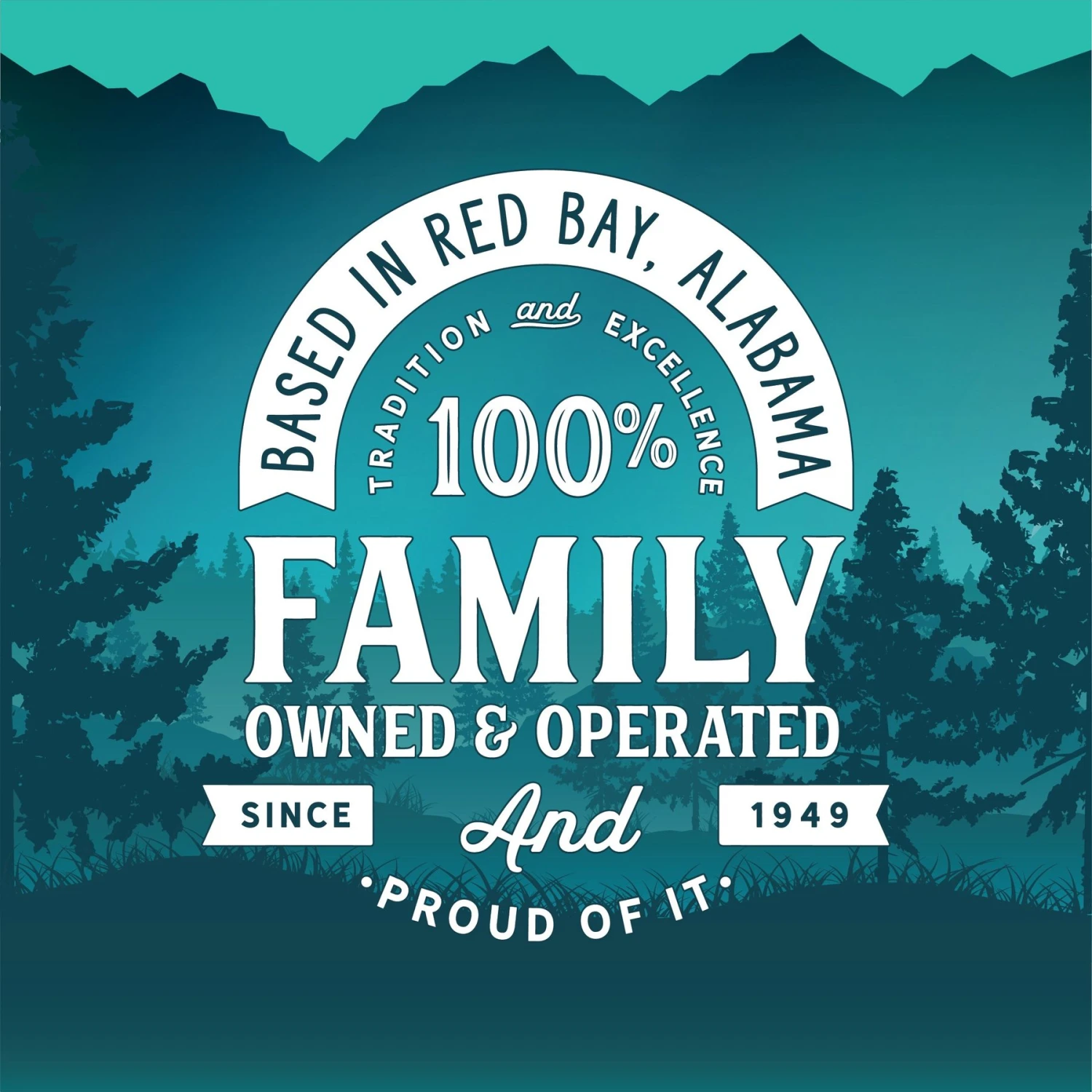 Triumph Wild Spirit Deboned Chicken & Brown Rice Recipe Dry Cat Food 6 Triumph Wild Spirit Deboned Chicken & Brown Rice Recipe Dry Cat Food - Image 4