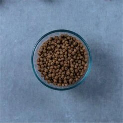 Evolve Classic Deboned Chicken & Brown Rice Recipe Dry Cat Food 15 Evolve Classic Deboned Chicken & Brown Rice Recipe Dry Cat Food -PurePet Bites Shop 79840 PT4. AC SS1800 V1608681135