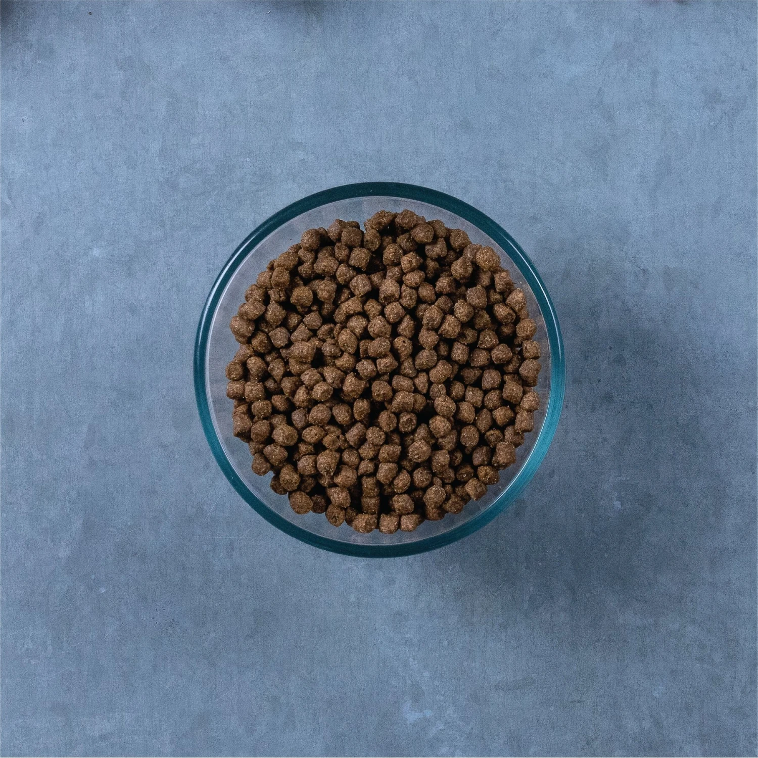 Evolve Classic Deboned Chicken & Brown Rice Recipe Dry Cat Food 7 Evolve Classic Deboned Chicken & Brown Rice Recipe Dry Cat Food - Image 5