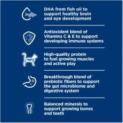 Hill's Science Diet Kitten Dry Ocean Fish & Brown Rice Recipe Dry Cat Food -PurePet Bites Shop 804070 PT3. AC SS1800 V1682950491