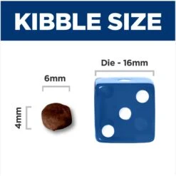 Hill's Science Diet Kitten Dry Ocean Fish & Brown Rice Recipe Dry Cat Food -PurePet Bites Shop 804070 PT4. AC SS1800 V1682950492