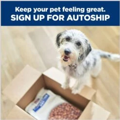 Hill's Prescription Diet C/d Multicare Urinary Care Chicken & Vegetable Stew Wet Cat Food 17 Hill's Prescription Diet C/d Multicare Urinary Care Chicken & Vegetable Stew Wet Cat Food -PurePet Bites Shop 80485 PT6. AC SS1800 V1687983003