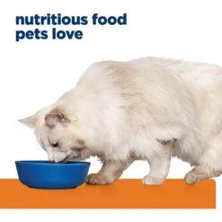 Hill's Prescription Diet C/d Multicare Urinary Care Stress Chicken & Vegetable Stew Wet Cat Food -PurePet Bites Shop 80487 PT2. AC SS1800 V1651204585