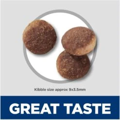 Hill's Science Diet Sensitive Stomach & Sensitive Skin Pollock Meal & Barley Recipe Adult Dry Cat Food -PurePet Bites Shop 819934 PT5. AC SS1800 V1681400031