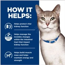 Hill's Prescription Diet K/d Kidney Care Pate With Tuna Wet Cat Food -PurePet Bites Shop 82055 PT5. AC SS1800 V1691776100