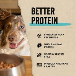 Vital Essentials Freeze-Dried Raw Protein Mix-In Beef Recipe Ground Dog Food Topper -PurePet Bites Shop 821630 PT3. AC SS1800 V1687961392