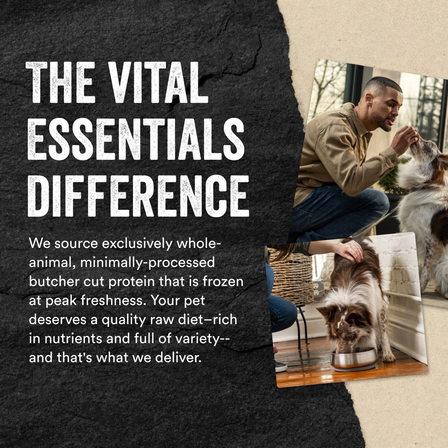 Vital Essentials Freeze-Dried Raw Protein Mix-In Chicken Recipe Ground Dog Food Topper 8 Vital Essentials Freeze-Dried Raw Protein Mix-In Chicken Recipe Ground Dog Food Topper - Image 6