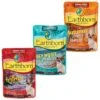 Earthborn Holistic Autumn Tide Tuna Dinner With Pumpkin In Gravy Grain-Free Cat Food + 2 Items -PurePet Bites Shop 822558 MAIN. AC SS1800 V1680643395