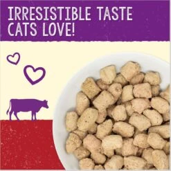 Stella & Chewy's Freeze-Dried Raw Morsels Bountiful Beef Recipe Grain-Free Protein Rich Cat & Kitten Food, 8-oz Bag -PurePet Bites Shop 826062 PT1. AC SS1800 V1683567935