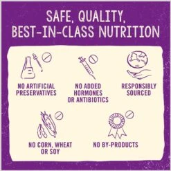 Stella & Chewy's Freeze-Dried Raw Morsels Bountiful Beef Recipe Grain-Free Protein Rich Cat & Kitten Food, 8-oz Bag -PurePet Bites Shop 826062 PT6. AC SS1800 V1683567935