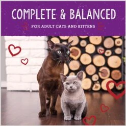 Stella & Chewy's Freeze-Dried Raw Morsels Bountiful Beef Recipe Grain-Free Protein Rich Cat & Kitten Food, 8-oz Bag -PurePet Bites Shop 826062 PT7. AC SS1800 V1683565291