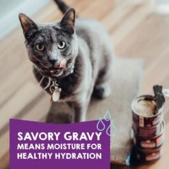 Stella & Chewy's Carnivore Cravings Purrfect Pate Variety Pack Cat Food, 2.8-oz Can, Case Of 12 -PurePet Bites Shop 826078 PT4. AC SS1800 V1683553354