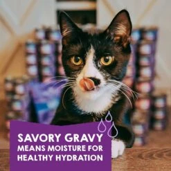 Stella & Chewy's Carnivore Cravings Savory Shreds Variety Pack Cat Food, 2.8-oz Can, Case Of 12 -PurePet Bites Shop 826094 PT4. AC SS1800 V1683552372