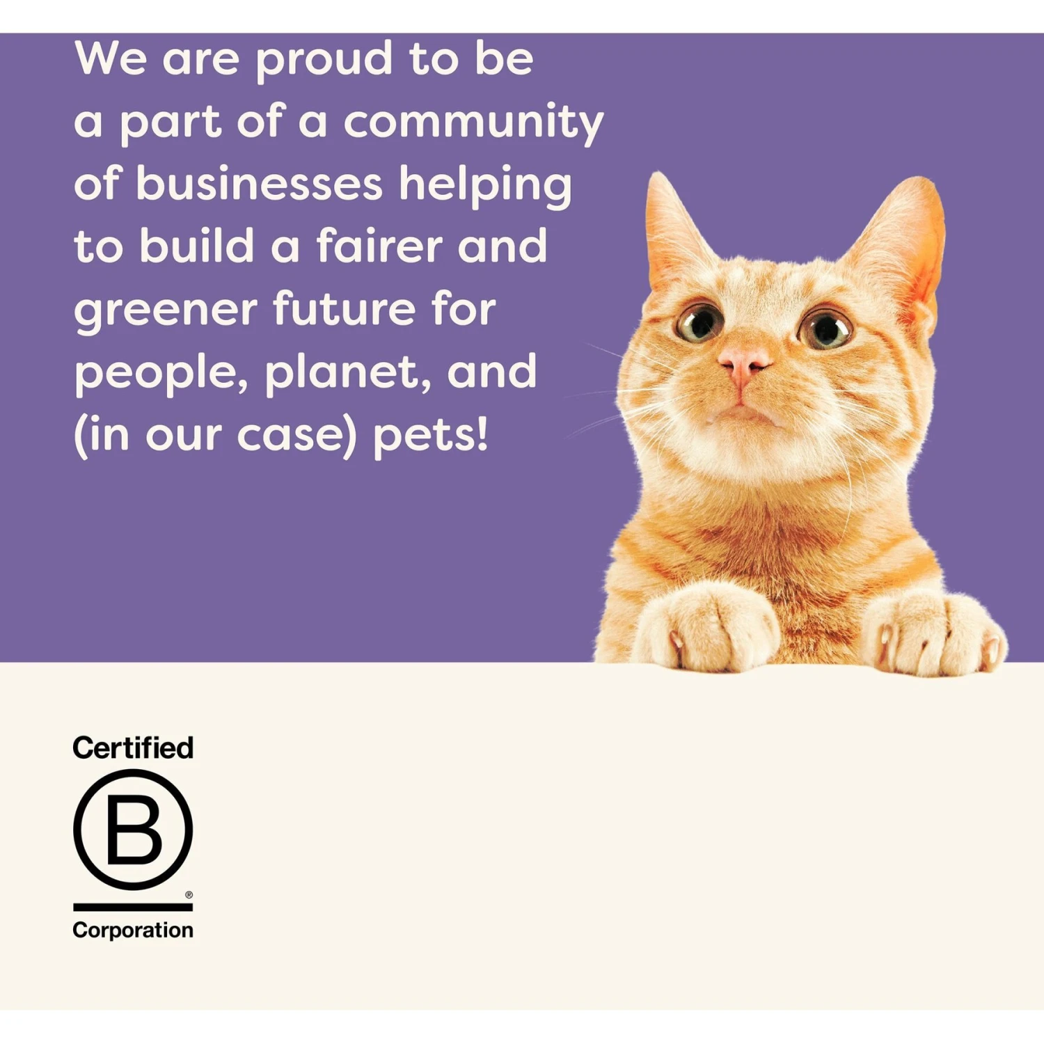 Applaws Chicken Pack In Broth Limited Ingredient Canned Wet Cat Food, 2.47-oz Can, Case Of 12 9 Applaws Chicken Pack In Broth Limited Ingredient Canned Wet Cat Food, 2.47-oz Can, Case Of 12 - Image 7