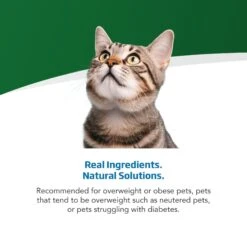 Farmina Vet Life Caloric Control Feline Dry Cat Food -PurePet Bites Shop 837998 PT3. AC SS1800 V1703880174