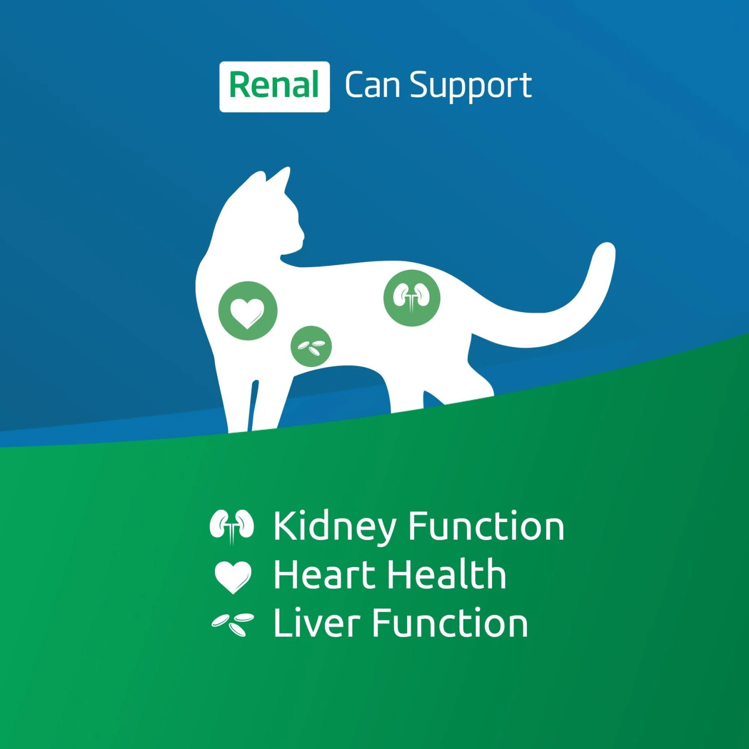 Farmina Vet Life Renal Feline Dry Cat Food 4 Farmina Vet Life Renal Feline Dry Cat Food - Image 2
