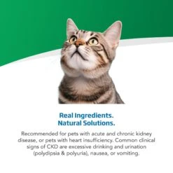 Farmina Vet Life Renal Feline Dry Cat Food 13 Farmina Vet Life Renal Feline Dry Cat Food -PurePet Bites Shop 838022 PT3. AC SS1800 V1703880409