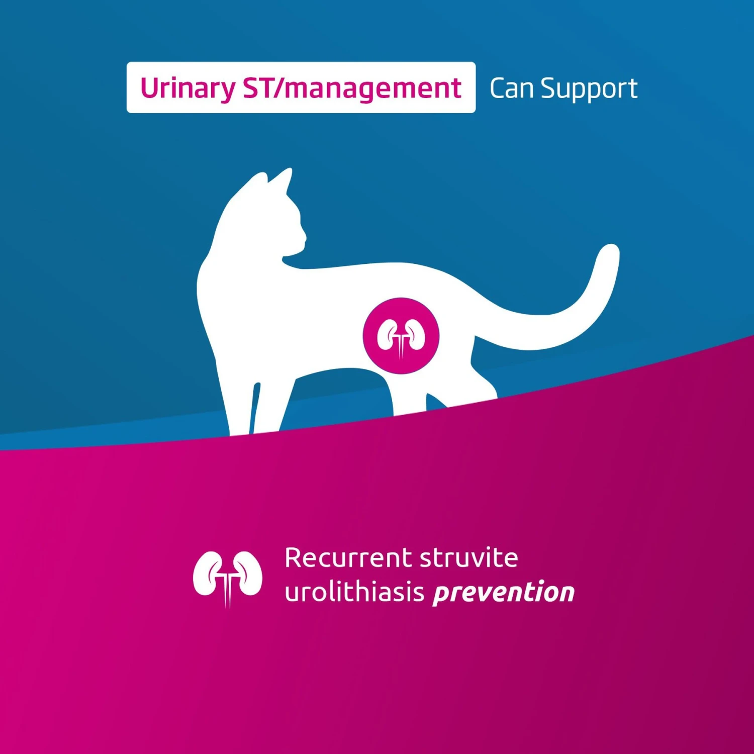 Farmina Vet Life Urinary St Management Feline Dry Cat Food 4 Farmina Vet Life Urinary St Management Feline Dry Cat Food - Image 2