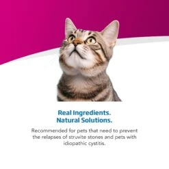 Farmina Vet Life Urinary St Management Feline Dry Cat Food 13 Farmina Vet Life Urinary St Management Feline Dry Cat Food -PurePet Bites Shop 838046 PT3. AC SS1800 V1703880528