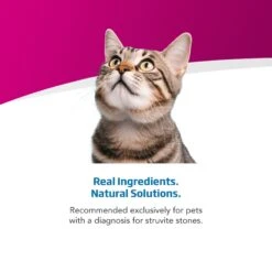 Farmina Vet Life Urinary St Control Feline Dry Cat Food -PurePet Bites Shop 838070 PT3. AC SS1800 V1703880471