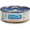 Farmina Vet Life Recoup Recipe Wet Cat Food, 3-oz Can, Case Of 12 -PurePet Bites Shop 838182 MAIN. AC SS1800 V1703880349