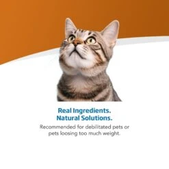 Farmina Vet Life Recoup Recipe Wet Cat Food, 3-oz Can, Case Of 12 -PurePet Bites Shop 838182 PT3. AC SS1800 V1703880350