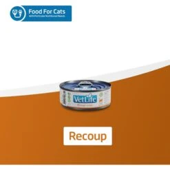 Farmina Vet Life Recoup Recipe Wet Cat Food, 3-oz Can, Case Of 12 -PurePet Bites Shop 838182 PT6. AC SS1800 V1703880350