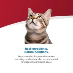 Farmina Vet Life Cat Gastrointestinal Recipe Wet Cat Food -PurePet Bites Shop 838198 PT3. AC SS1800 V1703880289