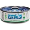 Farmina Vet Life Cat Renal Recipe In Gravy Wet Cat Food -PurePet Bites Shop 838214 MAIN. AC SS1800 V1703880290