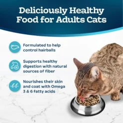 Blue Buffalo Indoor Hairball & Weight Control Chicken & Brown Rice Recipe Adult Dry Cat Food -PurePet Bites Shop 84167 PT3. AC SS1800 V1668762205