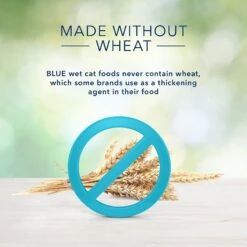 Blue Buffalo Freedom Indoor Flaked Chicken Recipe Grain-Free Canned Cat Food -PurePet Bites Shop 84173 PT4. AC SS1800 V1585084632