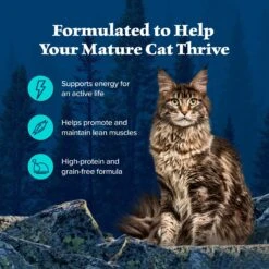 Blue Buffalo Wilderness Wild Delights Minced Chicken & Trout In Tasty Gravy Grain-Free Canned Cat Food -PurePet Bites Shop 84200 PT3. AC SS1800 V1646791583