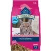 Blue Buffalo Wilderness Salmon Recipe Grain-Free Dry Cat Food 2 Blue Buffalo Wilderness Salmon Recipe Grain-Free Dry Cat Food -PurePet Bites Shop 84281 MAIN. AC SS1800 V1689283148