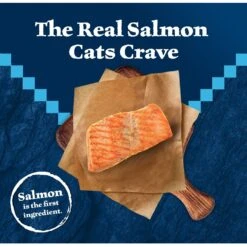 Blue Buffalo Wilderness Salmon Recipe Grain-Free Dry Cat Food -PurePet Bites Shop 84281 PT2. AC SS1800 V1689282790