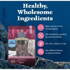 Blue Buffalo Wilderness Salmon Recipe Grain-Free Dry Cat Food -PurePet Bites Shop 84281 PT5. AC SS1800 V1689356431