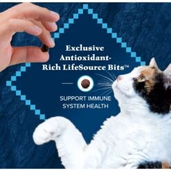 Blue Buffalo Wilderness Salmon Recipe Grain-Free Dry Cat Food -PurePet Bites Shop 84281 PT6. AC SS1800 V1689357650