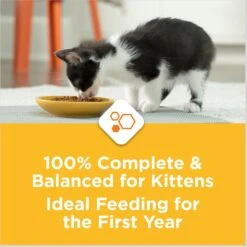 Kitten Chow Nurture Muscle & Brain Development Dry Cat Food & Fancy Feast Tender Feast Variety Pack Canned Kitten Food -PurePet Bites Shop 854286 PT8. AC SS1800 V1683743522