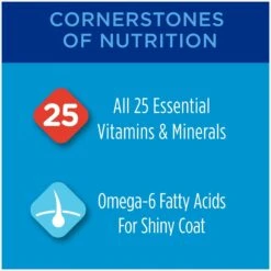 Purina Friskies Seafood & Chicken Pate Favorites Variety Pack Wet Cat Food, 5.5-oz Can, Case Of 40 & Cat Chow Complete With Chicken & Vitamins Dry Cat Food -PurePet Bites Shop 854310 PT7. AC SS1800 V1683744273