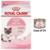 Royal Canin Feline Health Nutrition Mother & Babycat Dry Cat Food & Royal Canin Feline Health Nutrition Mother & Babycat Ultra Soft Mousse In Sauce Canned Cat Food -PurePet Bites Shop 854358 MAIN. AC SS1800 V1683744279