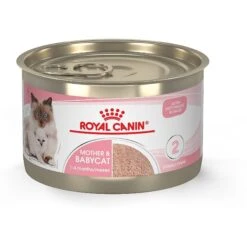 Royal Canin Feline Health Nutrition Mother & Babycat Dry Cat Food & Royal Canin Feline Health Nutrition Mother & Babycat Ultra Soft Mousse In Sauce Canned Cat Food -PurePet Bites Shop 854358 PT5. AC SS1800 V1683744315