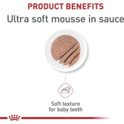 Royal Canin Feline Health Nutrition Mother & Babycat Dry Cat Food & Royal Canin Feline Health Nutrition Mother & Babycat Ultra Soft Mousse In Sauce Canned Cat Food -PurePet Bites Shop 854358 PT8. AC SS1800 V1683744208